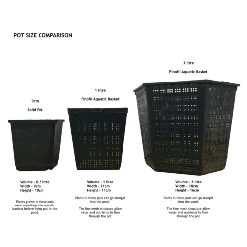 Aquatic pond plant pot size comparison showing 9cm pot 1 litre basket and 3 litre aquatic planting basket