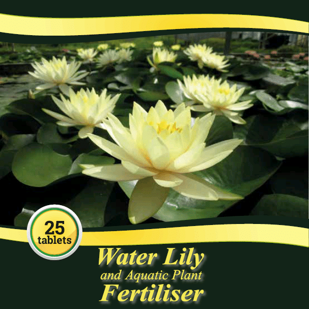Water Lily and aquatic plant fertiliser tablets 25 pack for feeding pond plants and water lilies