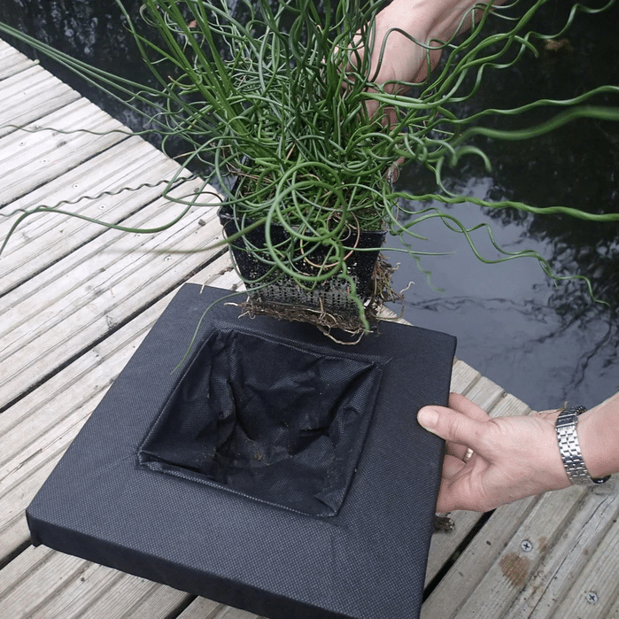 Floating Marginal Baskets for potted pond plants in shelf free ponds raised ponds container ponds and wildlife ponds with netted base and floating stitched ring