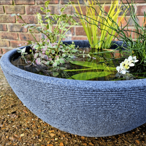 Mini Garden Pond Kit featuring a decorative grey container pond planted with a selection of aquatic and flowering pond plants