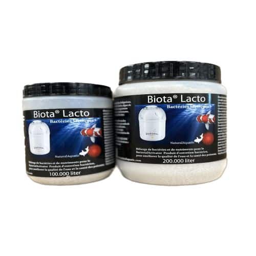 Biota Lacto bacterial treatment for pond organic waste breakdown and water quality improvement