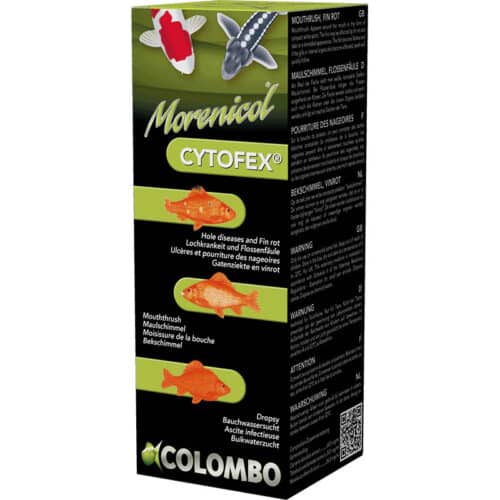 Colombo Cytofex natural antibacterial treatment for koi fish bacterial infections