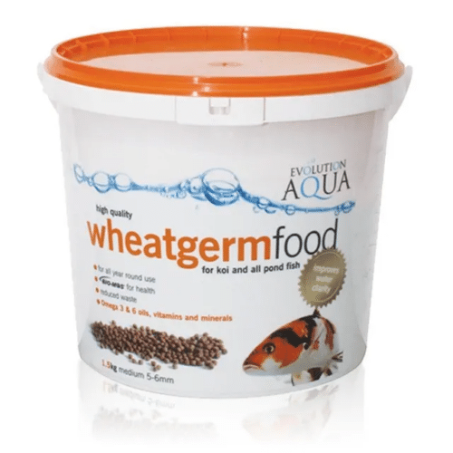 Evolution Aqua Wheatgerm Food highly digestible koi pellets for cooler water pond feeding