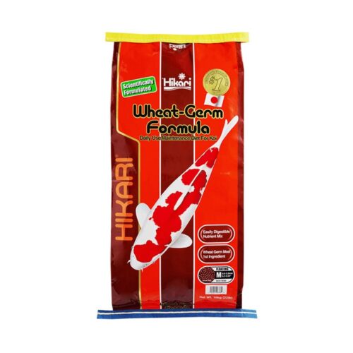Hikari Wheatgerm floating koi food for cool water feeding and digestion