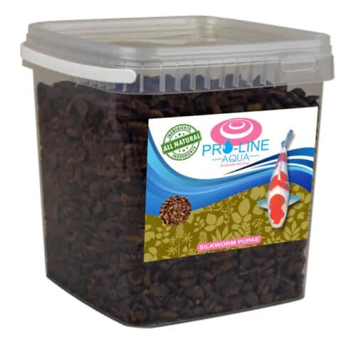 Pro Line Aqua Silkworm Pupae Koi Treats high protein natural treats for koi and pond fish