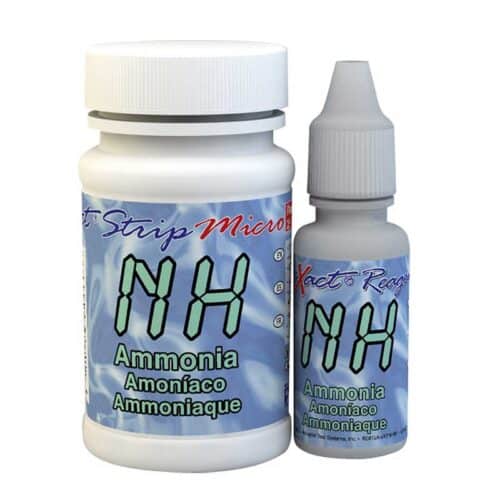 Ammonia water testing kit for koi ponds and aquariums to monitor harmful ammonia levels