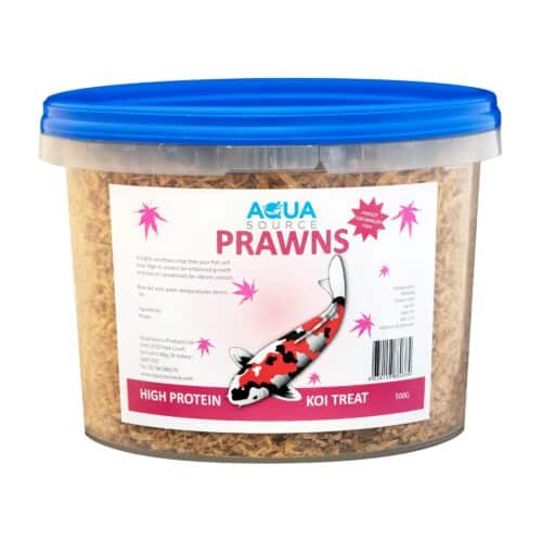 Prawns 500g premium koi fish treat high protein natural carotenoids for growth and colour enhancement