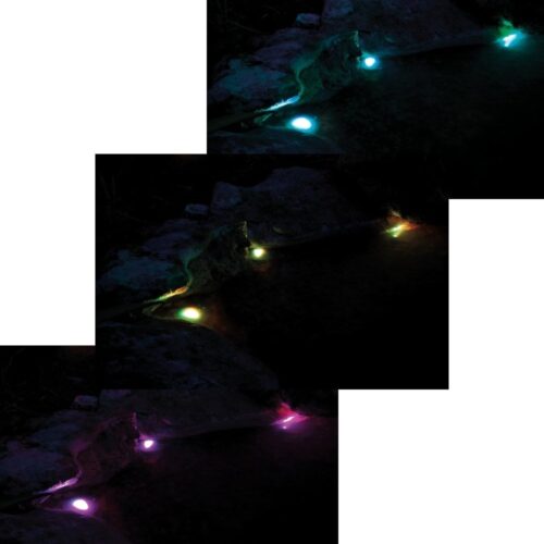 Pontec PondoStar RGB pond lights illuminating water at night