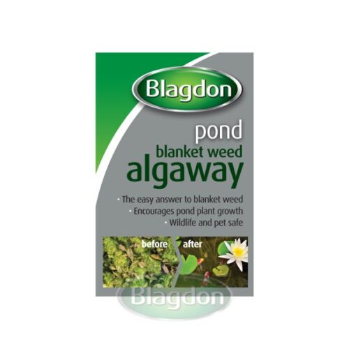 Blagdon Pond Blanketweed AlgaWay - Pond Blanketweed Algaway - Small - Image 2