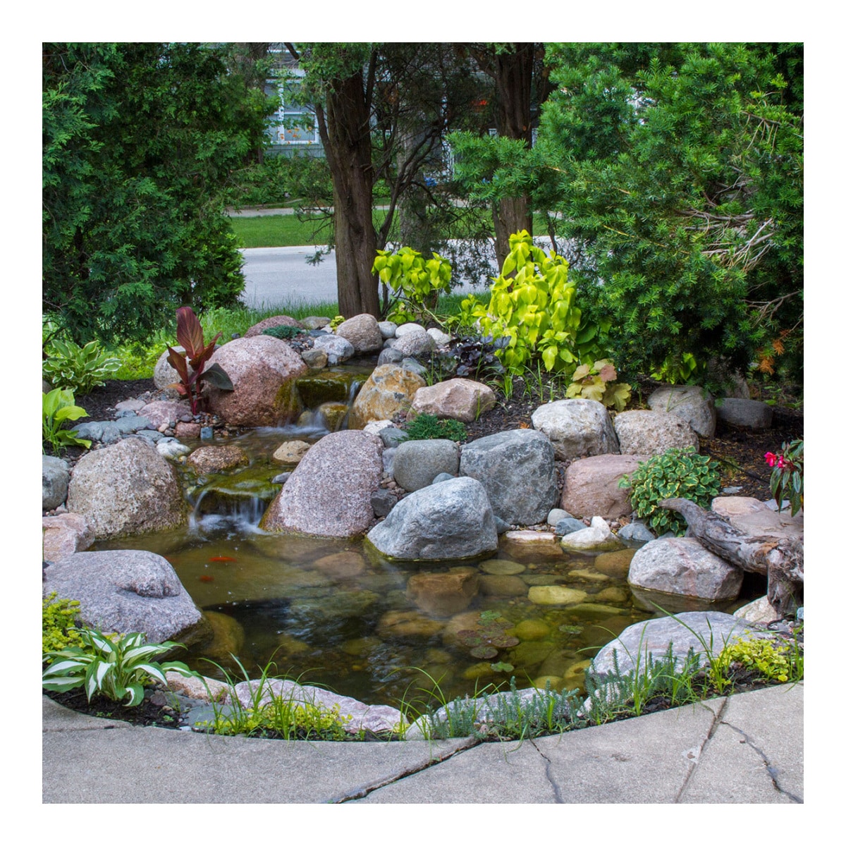 Aquascape Professional Pond Kit - 2.5 m × 3.5 m
