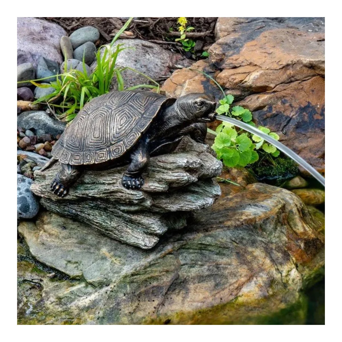 Aquascape Turtle on Log Spitter