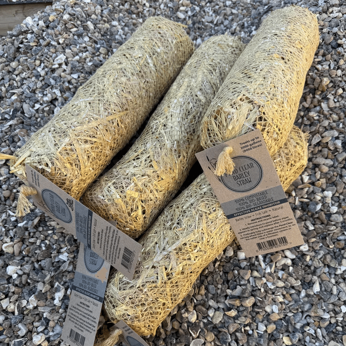 Barley Straw Pond Algae Control natural pond treatment for preventing green water and blanketweed in garden ponds wildlife ponds fish ponds and water features