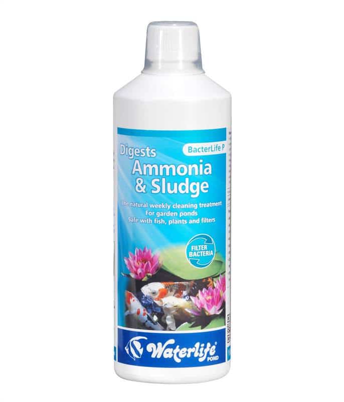 Waterlife BacterLife P pond filter bacteria