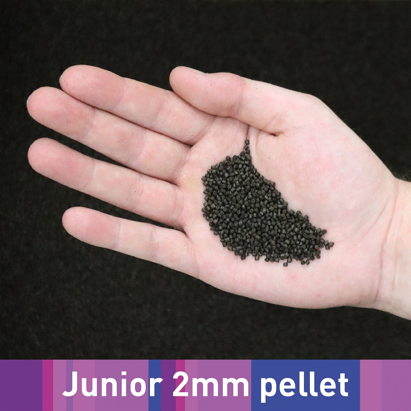 NT Labs Medikoi Junior Sturgeon small 2mm sinking pellets shown in the manufacturer photograph