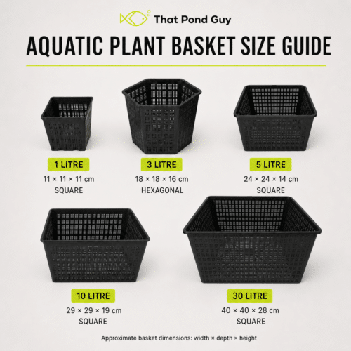 Aquatic plant basket size guide comparing 1, 3, 5, 10 and 30 litre baskets with approximate dimensions