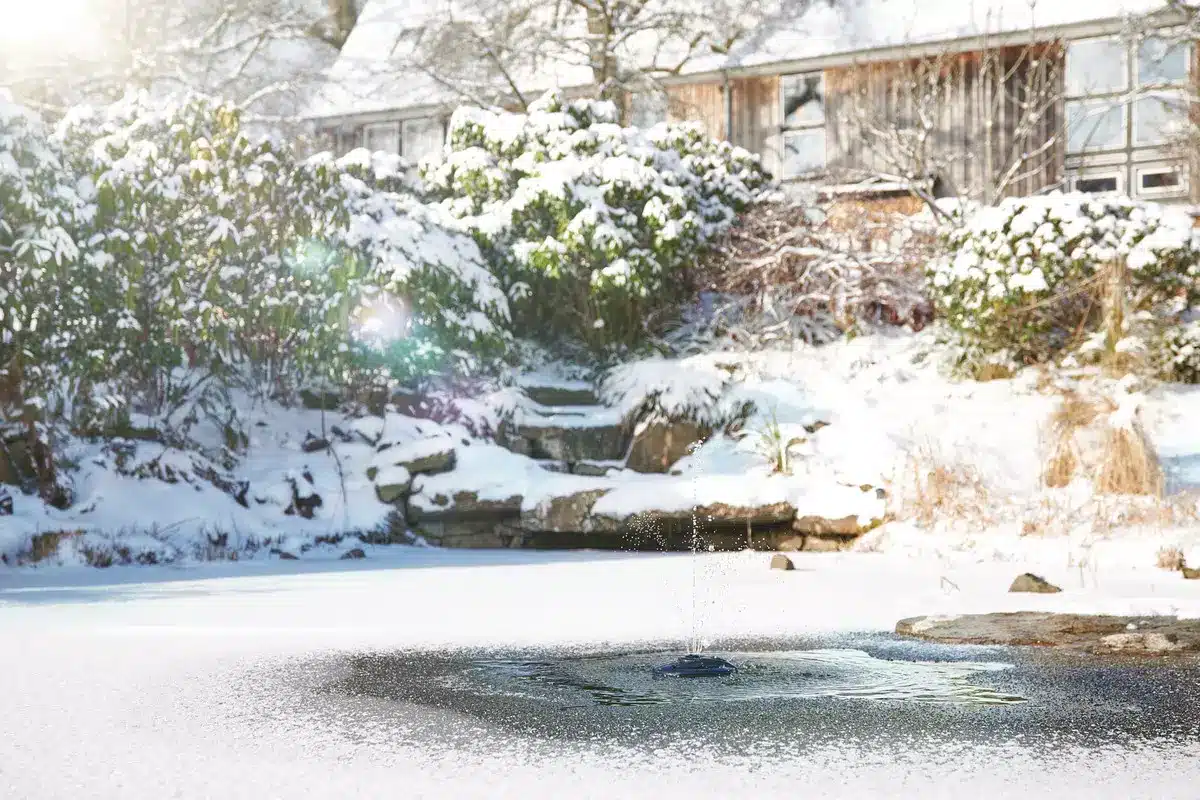Oase IceFree unit in an open area of water surrounded by a snowy pond