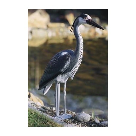 Pontec standing grey heron pond figure beside a garden pond