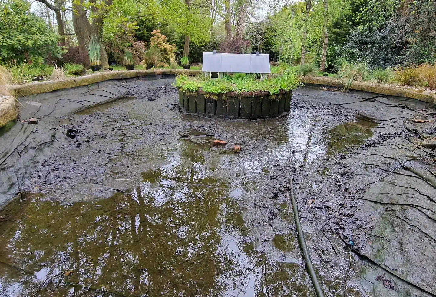 Settled sludge visible during our pond clean alongside a ScreenMatic 145000 filtration upgrade