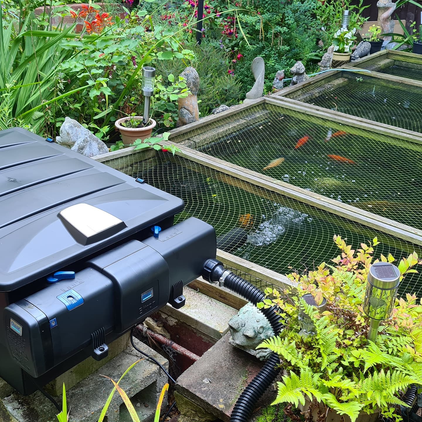 Oase ScreenMatic 40000 and Bitron 55 W beside a netted garden pond